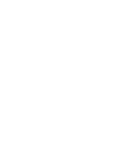 Schwarzer persischer Tee               5,80 €